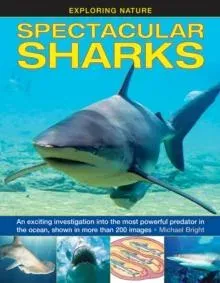 Exploring Nature: Spectacular Sharks
