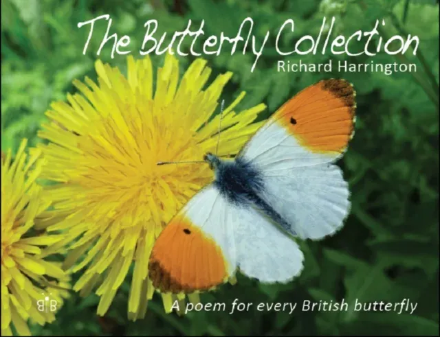 Butterfly Collection
