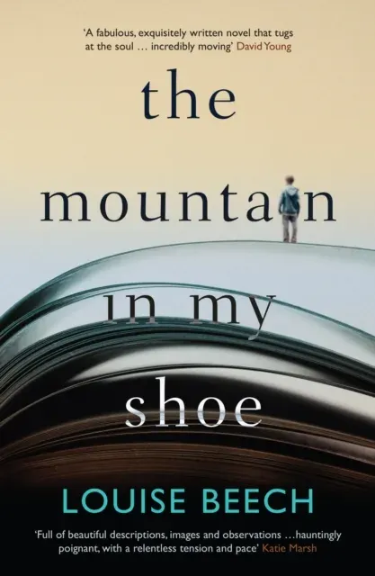 Mountain in my Shoe