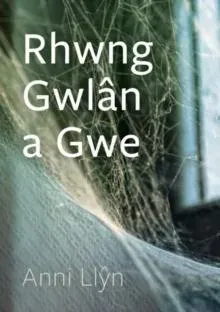 Cyfres Tonfedd Heddiw : Anni Llyn