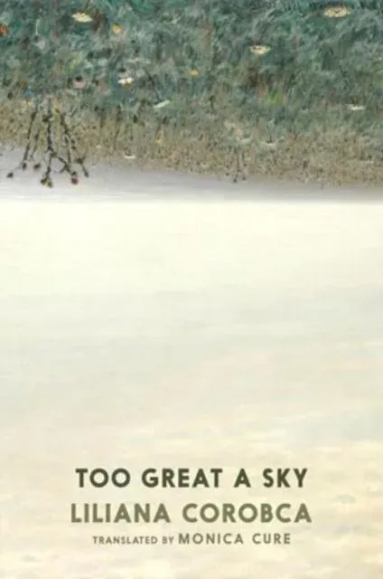 Too Great A Sky