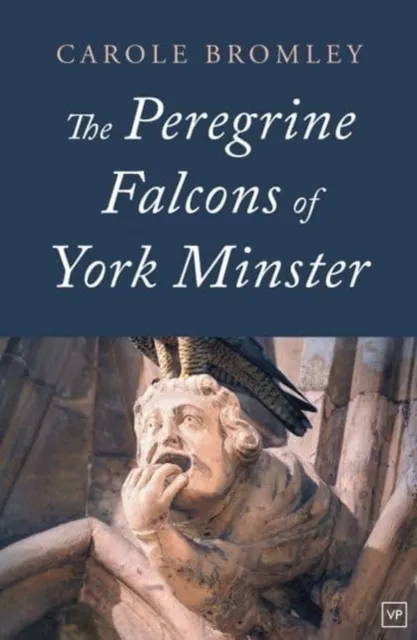 Peregrine Falcons of York Minster