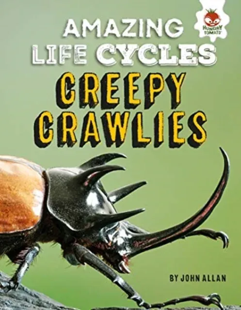 Amazing Life Cycles-Minibeasts