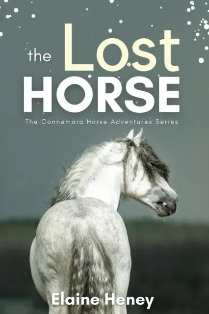 The Lost Horse - Book 6 in the Connemara Horse Adventure Series for Kids