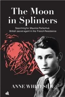 Moon in Splinters