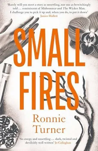 Small Fires : This year's most unsettling, hypnotic contemporary gothic thriller