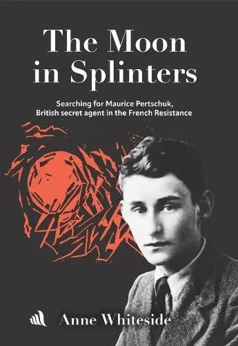 Moon in Splinters
