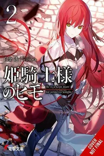 The Kept Man of the Princess Knight, Vol. 2