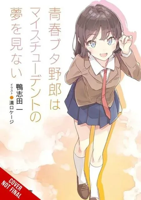 Rascal Does Not Dream of His Student (light novel)
