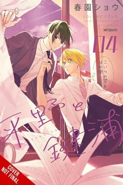 Hirano and Kagiura, Vol. 4 (manga)
