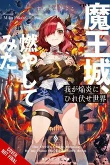 The World Bows Down Before My Flames, Vol. 1 (novel)
