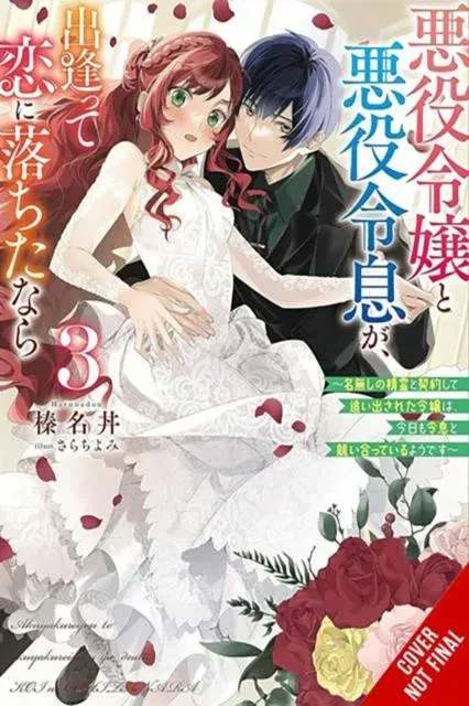 If the Villainess and Villain Met and Fell in Love, Vol. 3 (light novel)