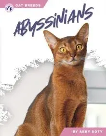 Abyssinians